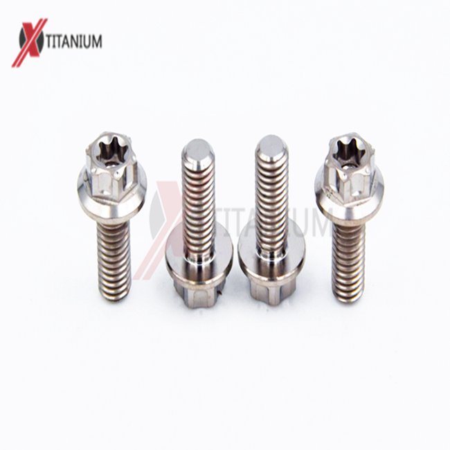 Hex Socket and Customized Hex Flange Titanium Bolt